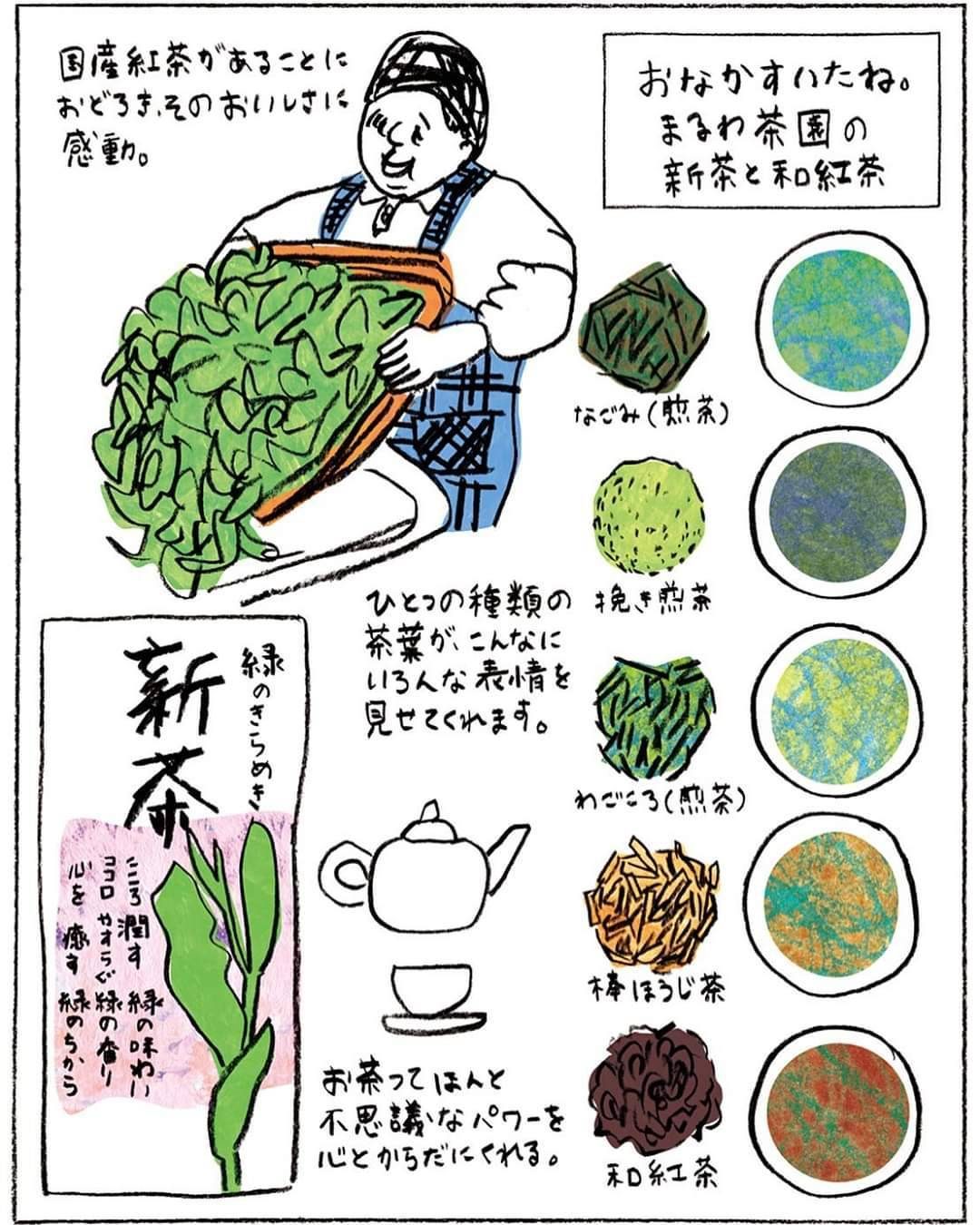 Illustrated line-up of Maruwa Chaen teas